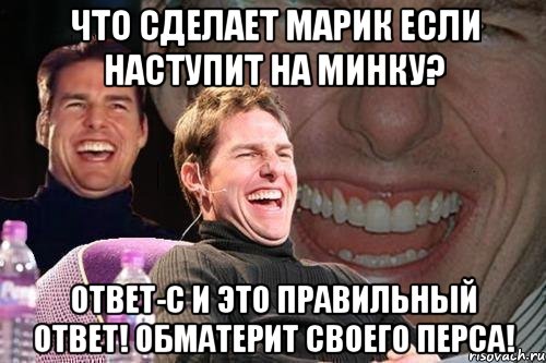 Что сделает марик если наступит на минку? Ответ-с и это правильный ответ! обматерит своего перса!, Мем том круз