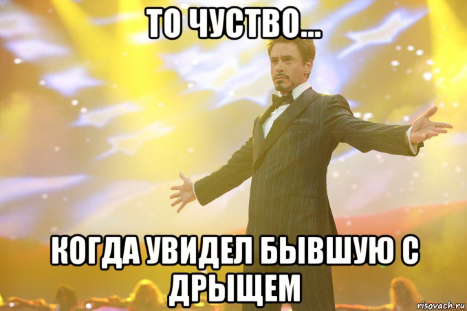 ТО ЧУСТВО... КОГДА УВИДЕЛ БЫВШУЮ С ДРЫЩЕМ, Мем Тони Старк (Роберт Дауни младший)