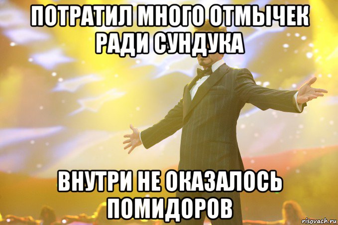 потратил много отмычек ради сундука внутри не оказалось помидоров, Мем Тони Старк (Роберт Дауни младший)