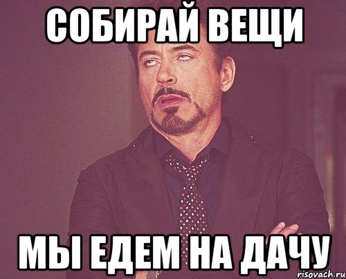 Езжать. Ехать или не ехать. Поехали на дачу. Едем на дачу. Дача Мем.