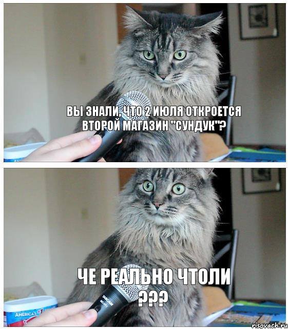 Вы знали, что 2 июля откроется второй магазин "Сундук"? Че реально чтоли ???, Комикс  кот с микрофоном
