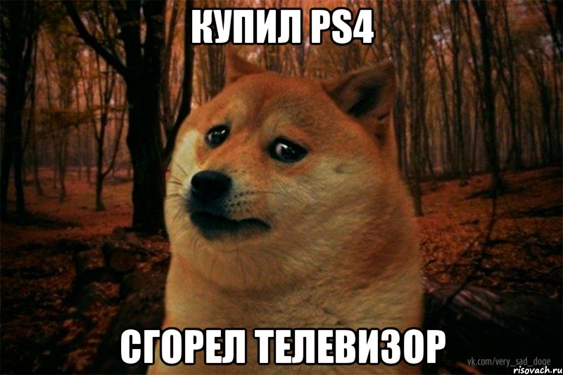 купил PS4 сгорел телевизор, Мем SAD DOGE