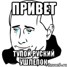 Привет Тупой руский ушлепок, Мем  Володя Путин