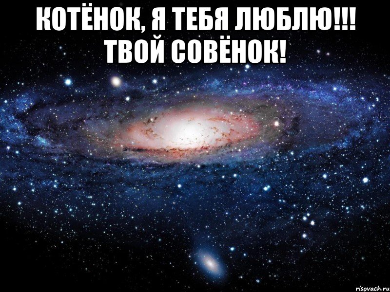 Котёнок, я тебя люблю!!! Твой Совёнок! , Мем Вселенная