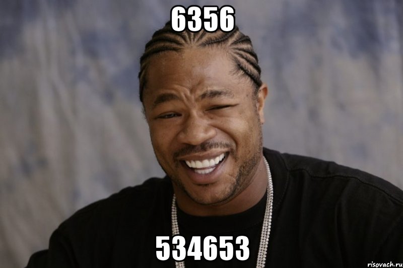 6356 534653, Мем Xzibit