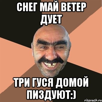 Ветер В Рожу Дует Гусь Домой Картинка