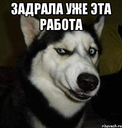 Ну знаете это не работа. Мем про работу. Работать мемы. Задрали уже. Эта работа.