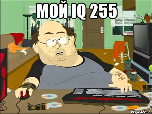 мой iq 255 