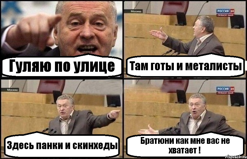 Гуляю по улице Там готы и металисты Здесь панки и скинхеды Братюни как мне вас не хватает !, Комикс Жириновский