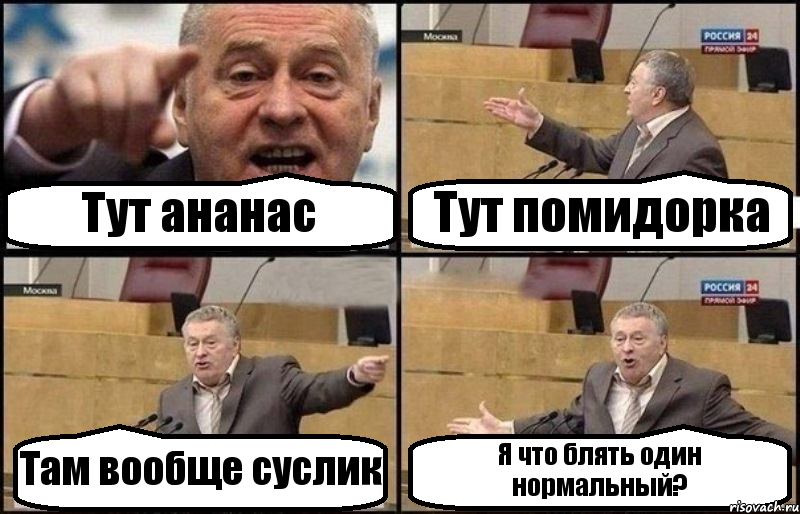 Тут ананас Тут помидорка Там вообще суслик Я что блять один нормальный?, Комикс Жириновский