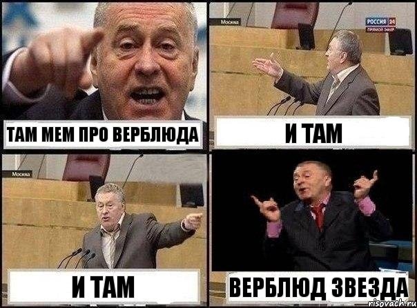 там мем про верблюда и там и там ВЕРБЛЮД ЗВЕЗДА, Комикс Жириновский клоуничает