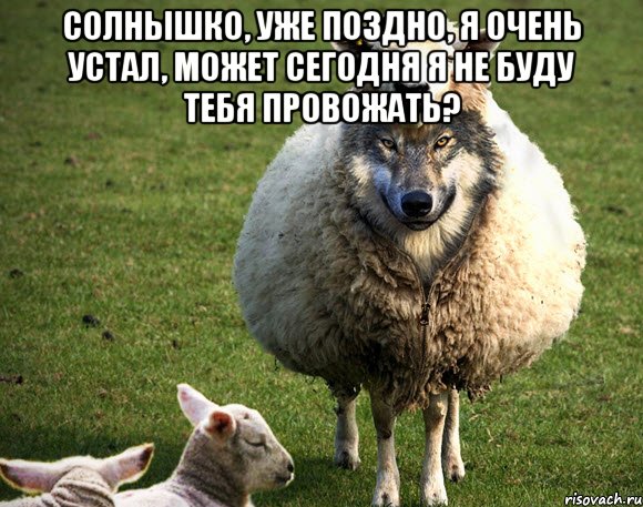 Солнышко, уже поздно, я очень устал, может сегодня я не буду тебя провожать? , Мем Злая Овца