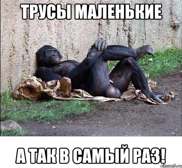 ТРУСЫ МАЛЕНЬКИЕ А ТАК В САМЫЙ РАЗ!