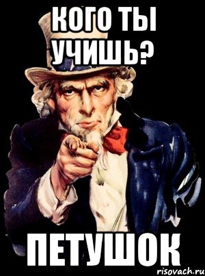 Кого ты учишь? Петушок, Мем а ты