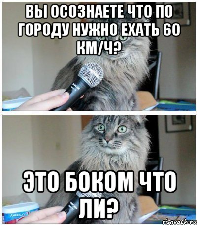 Вы осознаете что по городу нужно ехать 60 км/ч? Это боком что ли?, Комикс  кот с микрофоном