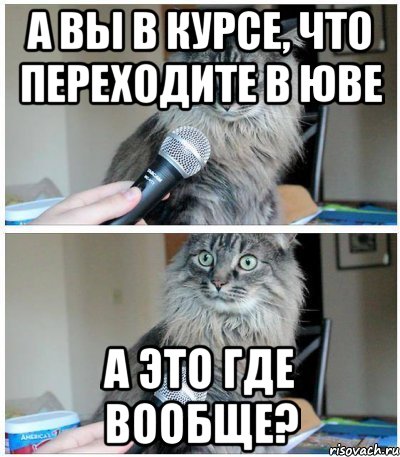 а вы в курсе, что переходите в юве а это где вообще?, Комикс  кот с микрофоном