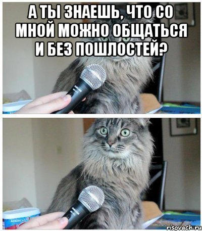 А ТЫ ЗНАЕШЬ, ЧТО СО МНОЙ МОЖНО ОБЩАТЬСЯ И БЕЗ ПОШЛОСТЕЙ? , Комикс  кот с микрофоном