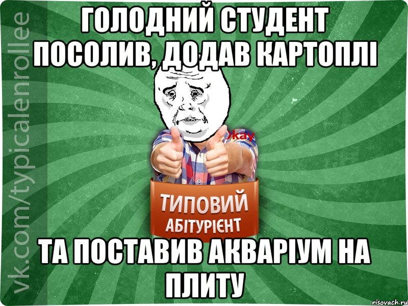 Голодний студент посолив, додав картоплі та поставив акваріум на плиту, Мем абтура4