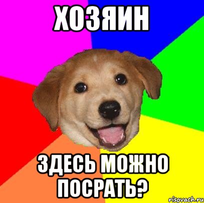 хозяин здесь можно посрать?, Мем Advice Dog