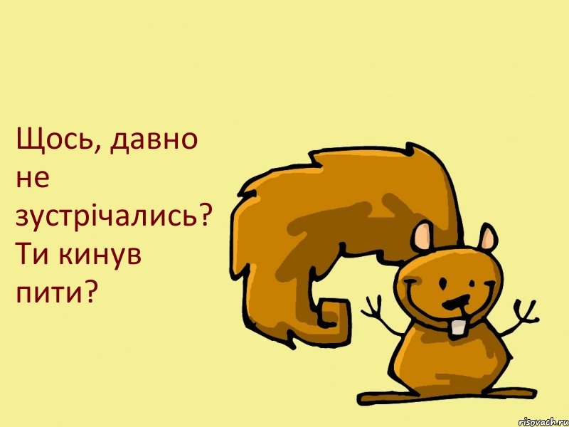 Щось, давно не зустрічались? Ти кинув пити?, Комикс  белка