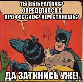 ты выбрал вуз? определился с профессией? кем станешь? да заткнись уже!, Комикс   Бетмен и Робин