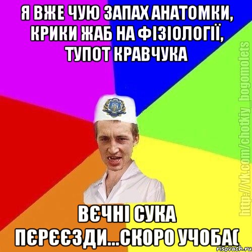 Я вже чую запах анатомки, крики жаб на фізіології, тупот кравчука вєчні сука пєрєєзди...скоро учоба(, Мем Чоткий пацан