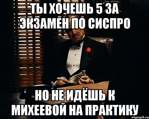 1 5 не хочет. Не хочу на экзамен. Выпьем за экзамен. Хочу пятерку и не хочу вопросов. Мем хочу на практику.