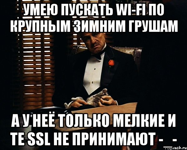 умею пускать wi-fi по крупным зимним грушам а у неё только мелкие и те SSL не принимают -_-, Мем Дон Вито Корлеоне