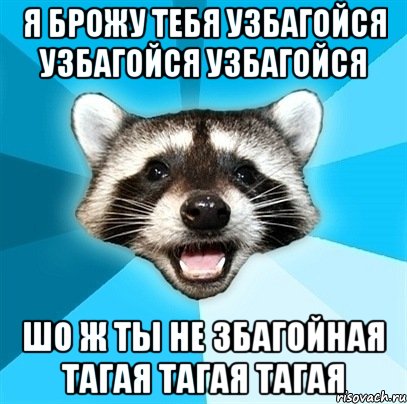 я брожу тебя узбагойся узбагойся узбагойся шо ж ты не збагойная тагая тагая тагая, Мем Енот-Каламбурист