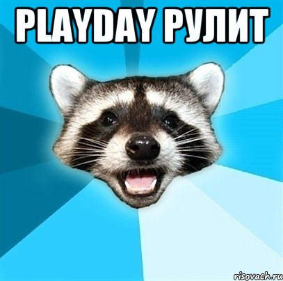 PlayDay рулит , Мем Енот-Каламбурист