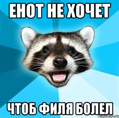 Енот не хочет чтоб Филя болел