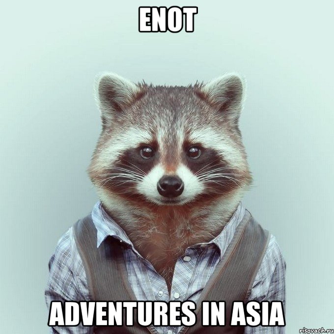 Enot Adventures in Asia, Мем  Енот в рубашке