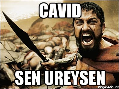 CAVID SEN UREYSEN, Мем Это Спарта