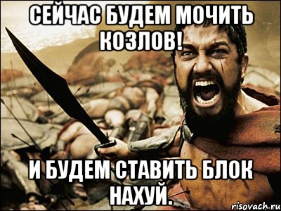 Сейчас будем мочить козлов! и будем ставить блок нахуй., Мем Это Спарта