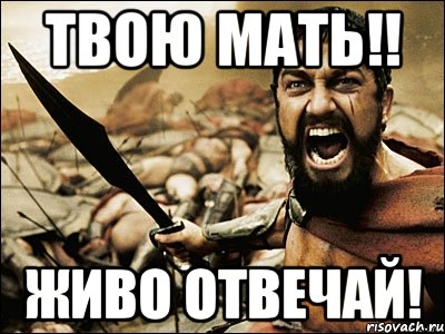 Твою мать!! Живо отвечай!, Мем Это Спарта