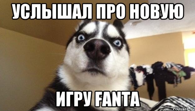 Услышал про новую игру Fanta, Мем  Собака-удивляка