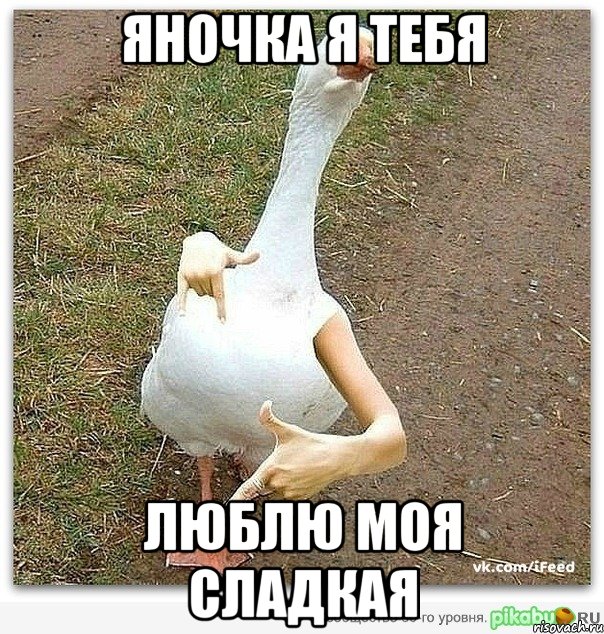 Пнул Гуся