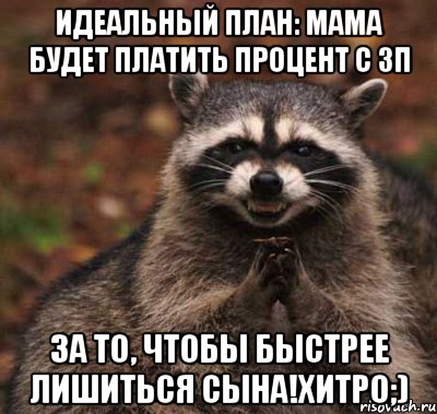 Идеальный план: мама будет платить процент с зп За то, чтобы быстрее лишиться сына!Хитро;), Мем  Хитрый енот