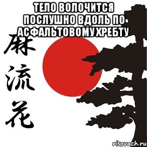 Тело волочится послушно вдоль по асфальтовому хребту 