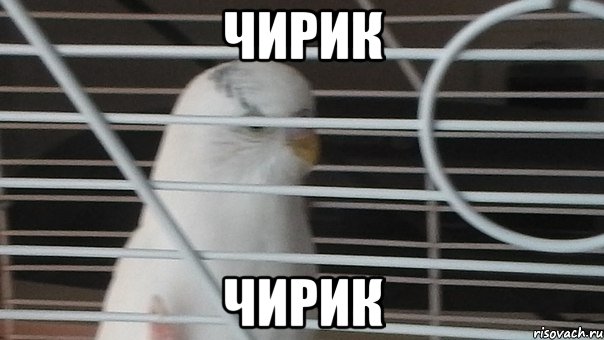 Чирик