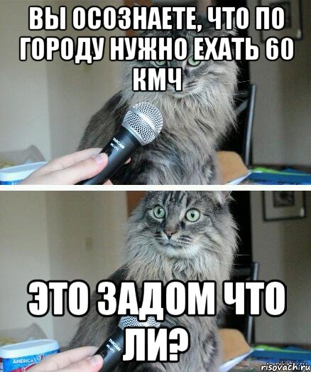 Вы осознаете, что по городу нужно ехать 60 кмч Это задом что ли?, Комикс  кот с микрофоном