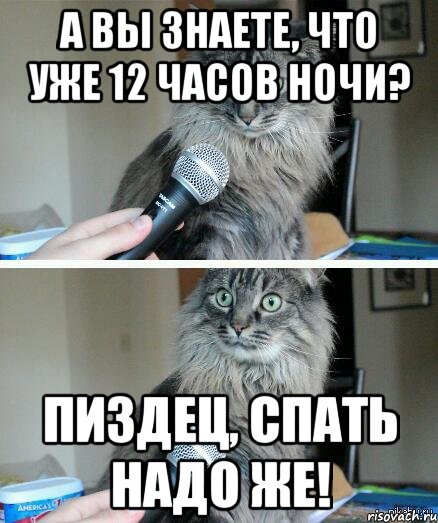 А вы знаете, что уже 12 часов ночи? Пиздец, спать надо же!, Комикс  кот с микрофоном