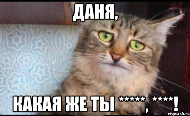 Даня, КАКАЯ ЖЕ ТЫ *****, ****!, Мем  кот печаль