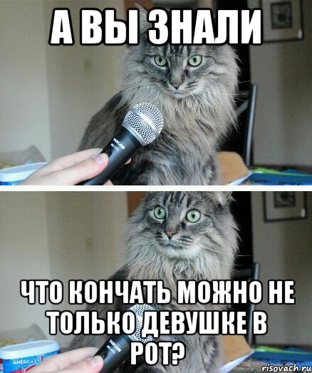 А ВЫ ЗНАЛИ ЧТО КОНЧАТЬ МОЖНО НЕ ТОЛЬКО ДЕВУШКЕ В РОТ?, Комикс  кот с микрофоном