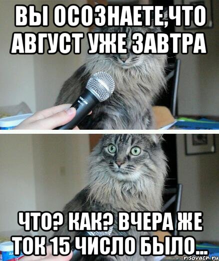 Вы осознаете,что август уже завтра Что? Как? Вчера же ток 15 число было..., Комикс  кот с микрофоном