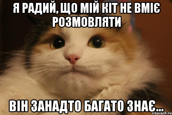 Я РАДИЙ, ЩО МІЙ КІТ НЕ ВМІЄ РОЗМОВЛЯТИ ВІН ЗАНАДТО БАГАТО ЗНАЄ..., Мем  Кот в недоразумении