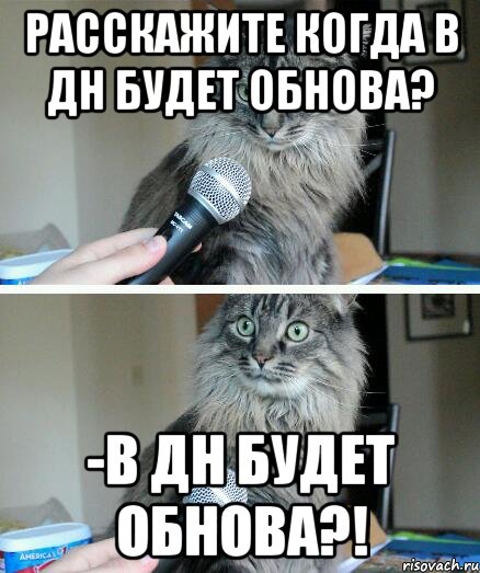 Расскажите когда в ДН будет обнова? -В ДН будет обнова?!, Комикс  кот с микрофоном