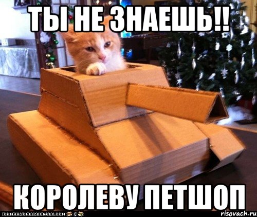 ты не знаешь!! королеву петшоп, Мем Котэ танкист