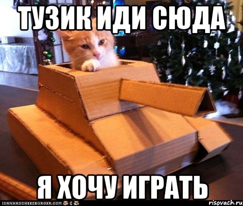 Кот хочет поиграть