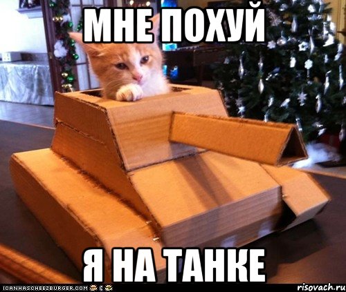 мне похуй я на танке, Мем Котэ танкист